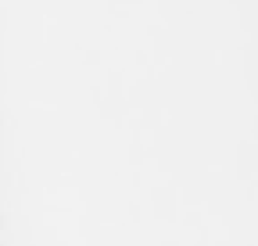 The Saltaire Tee | White - Image 2